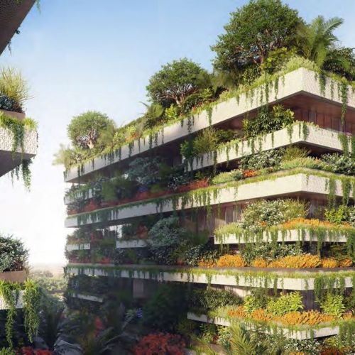 Video of Il Bosco, New Capital