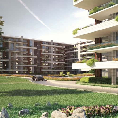 Video of De Joya, New Capital