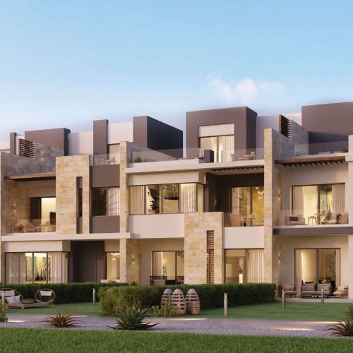 Video of Tawny, 6th October