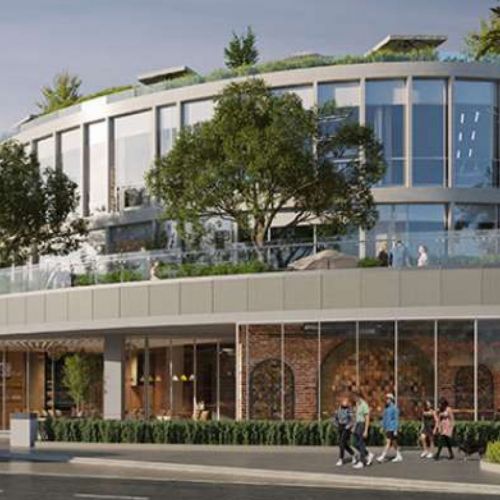 Video of Palmet, Sheikh Zayed