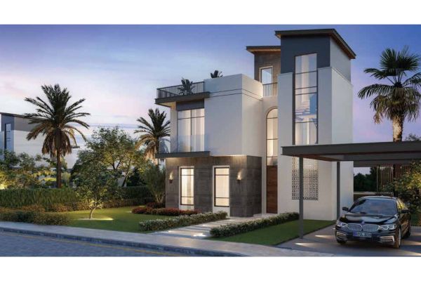 8 Новый Заид