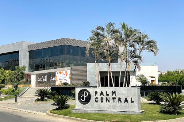 Центральная ладонь 6 октября