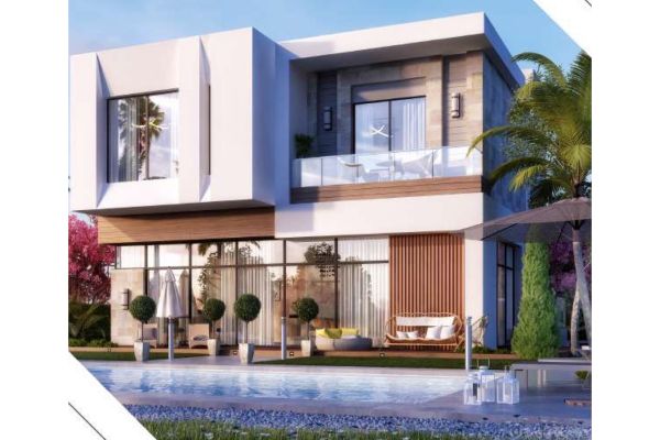 ЗАЯРД Новый Заид