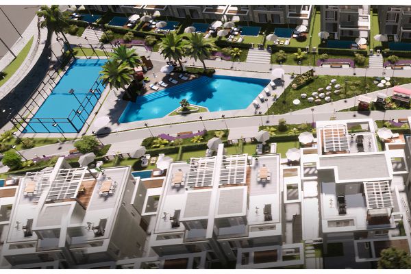 ЗАЯРД Элит Новый Заид