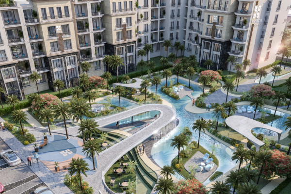 Cattleya Новый Каир