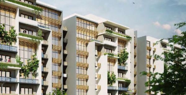 Golden Yard, New Capital