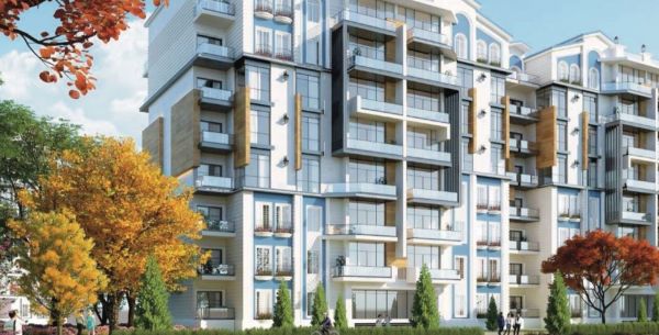 Floria 5, New Capital